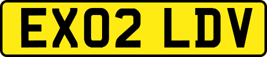 EX02LDV