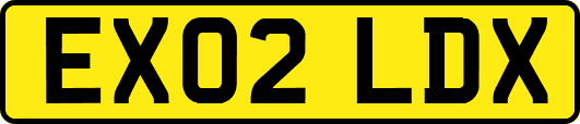 EX02LDX
