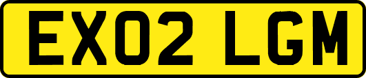 EX02LGM