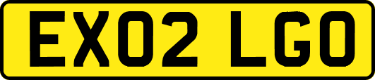 EX02LGO