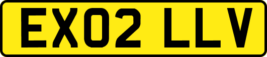 EX02LLV
