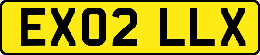 EX02LLX