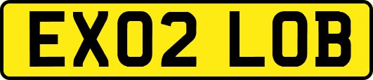 EX02LOB