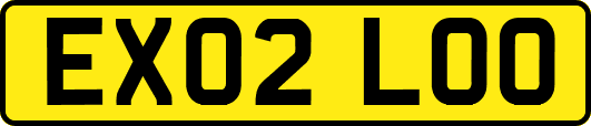 EX02LOO