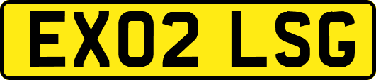 EX02LSG