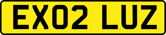 EX02LUZ