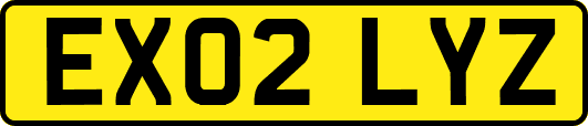 EX02LYZ