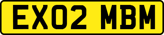 EX02MBM