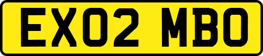 EX02MBO