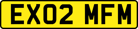 EX02MFM