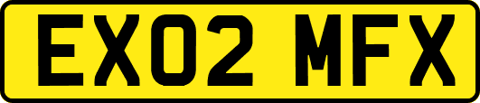 EX02MFX