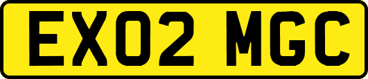 EX02MGC