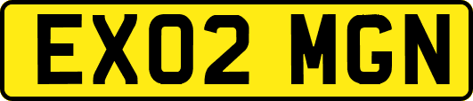 EX02MGN