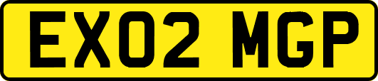 EX02MGP