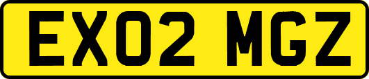 EX02MGZ