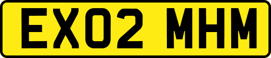 EX02MHM