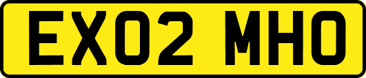 EX02MHO