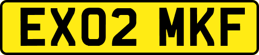 EX02MKF