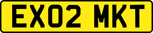 EX02MKT