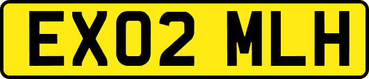 EX02MLH