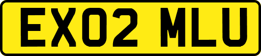 EX02MLU