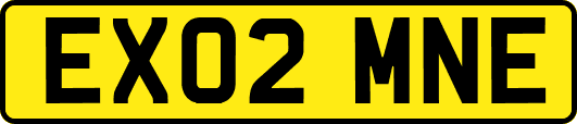 EX02MNE