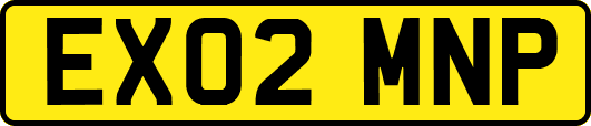 EX02MNP