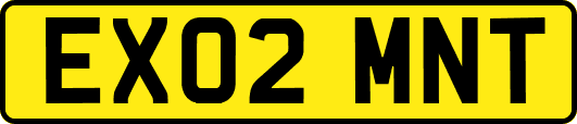 EX02MNT