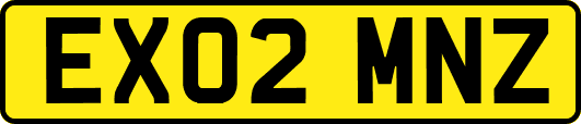 EX02MNZ