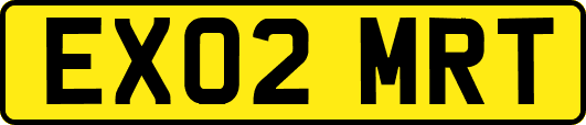 EX02MRT