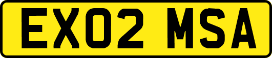 EX02MSA