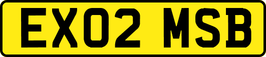 EX02MSB