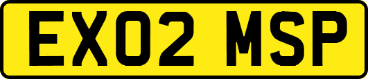 EX02MSP