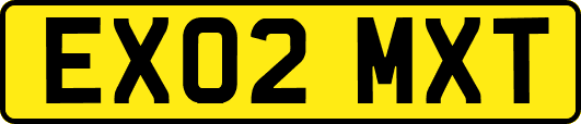 EX02MXT