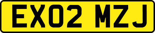 EX02MZJ