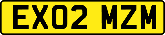 EX02MZM
