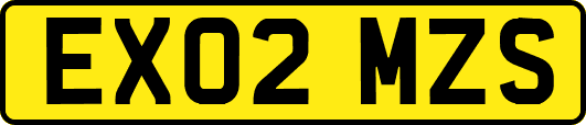 EX02MZS