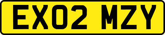 EX02MZY