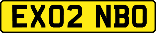 EX02NBO