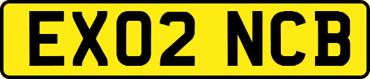 EX02NCB