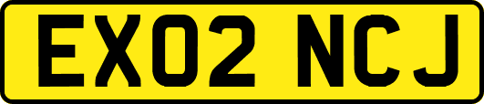 EX02NCJ