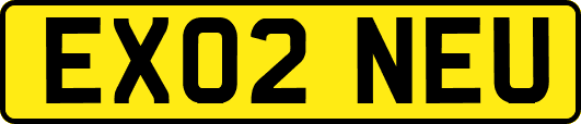EX02NEU