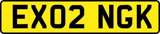 EX02NGK