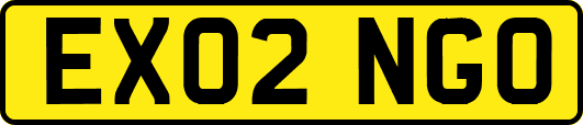 EX02NGO