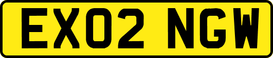 EX02NGW