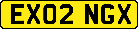 EX02NGX