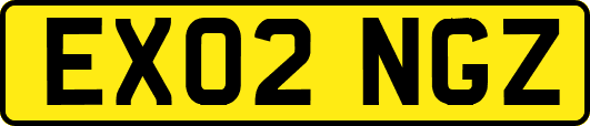 EX02NGZ