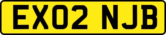 EX02NJB