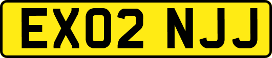 EX02NJJ