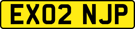 EX02NJP